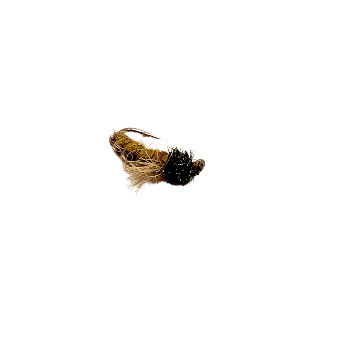 Z Wing Caddis - SALE